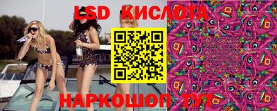 спиды Кимры